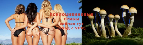 меф VHQ Беломорск