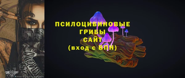 МДПВ Белокуриха