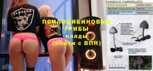 МДПВ Белокуриха