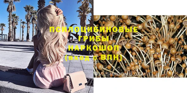 ECSTASY Белоозёрский
